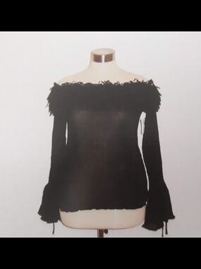 Kaeylyn Max II Off-Shoulder Fringe Detail Sheer Top (Black)